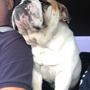 Meet your Posher, Manuel